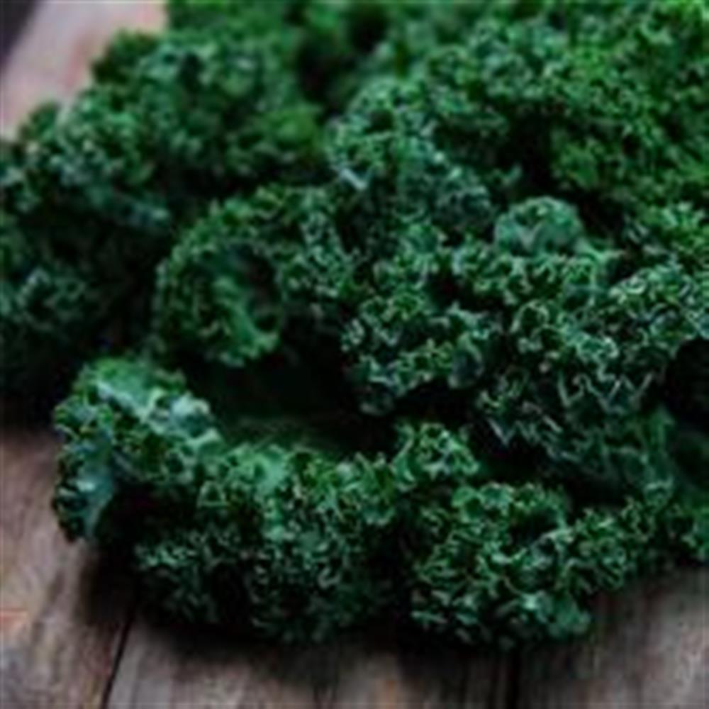 Green Curly Kale - Pete's Greens