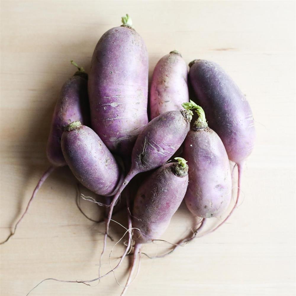 OG Radish, Purple Daikon - Harlow Farm