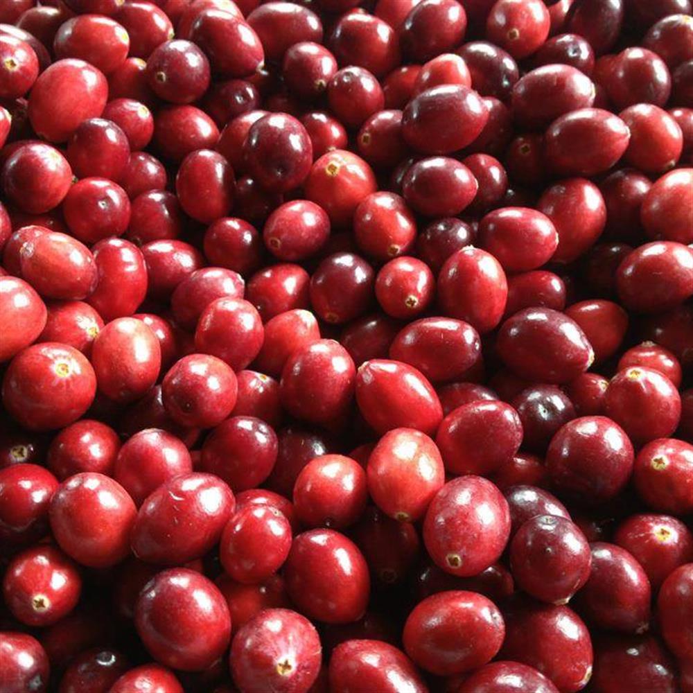 Cranberries - Sugar Hill Cranberry Co.