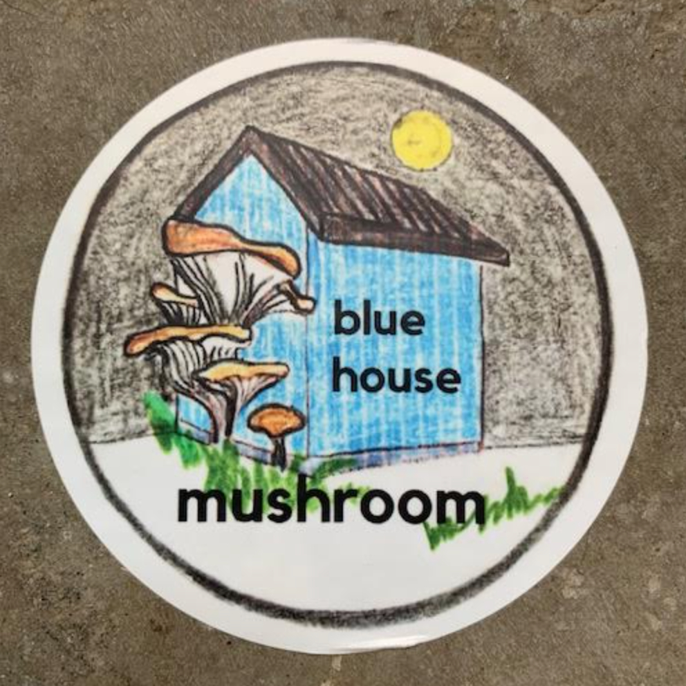 Blue House Mushroom