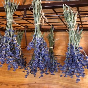Dried Herbs - Culinary Lavender Buds-on-stem
