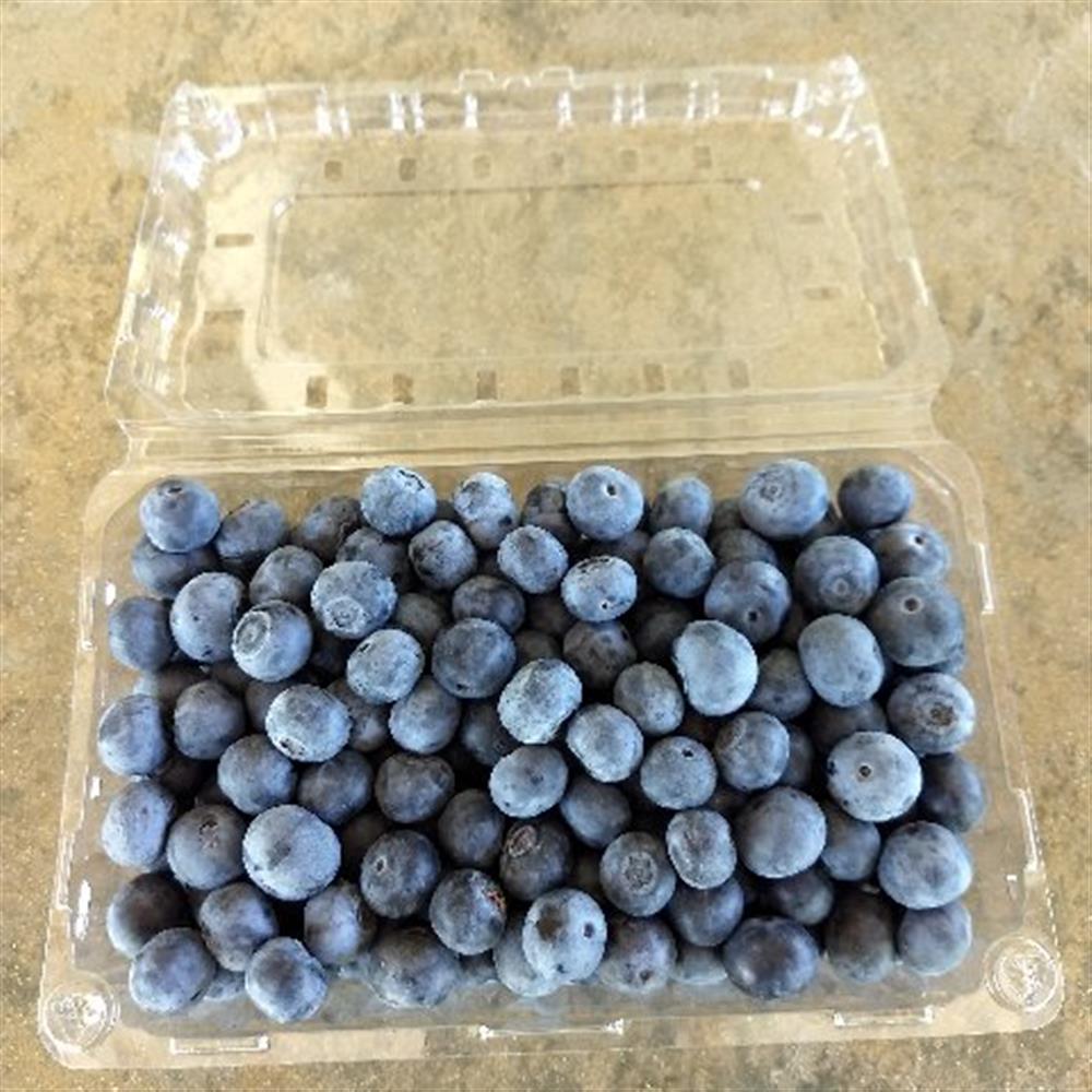 Blueberries - FRESH