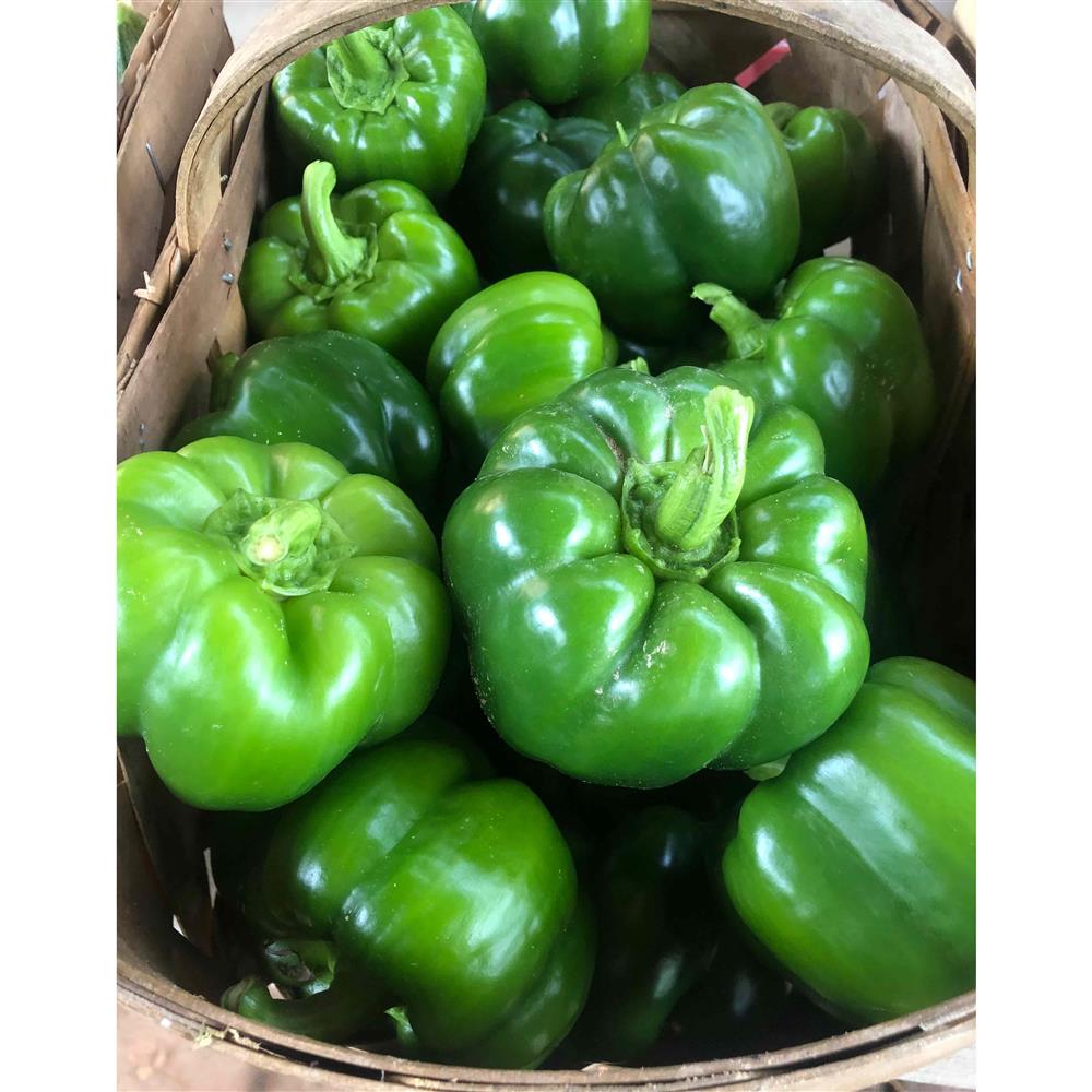 Peppers - Bell Peppers