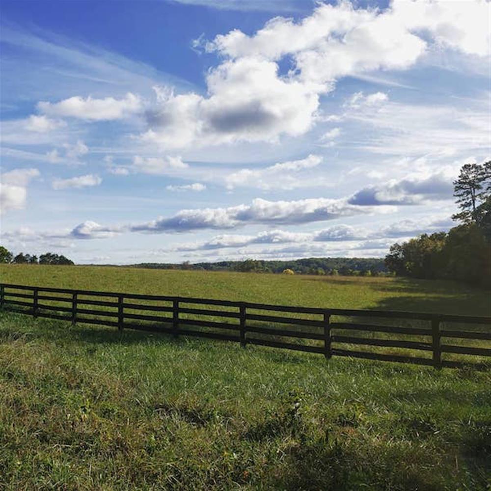 Farm & History Tour