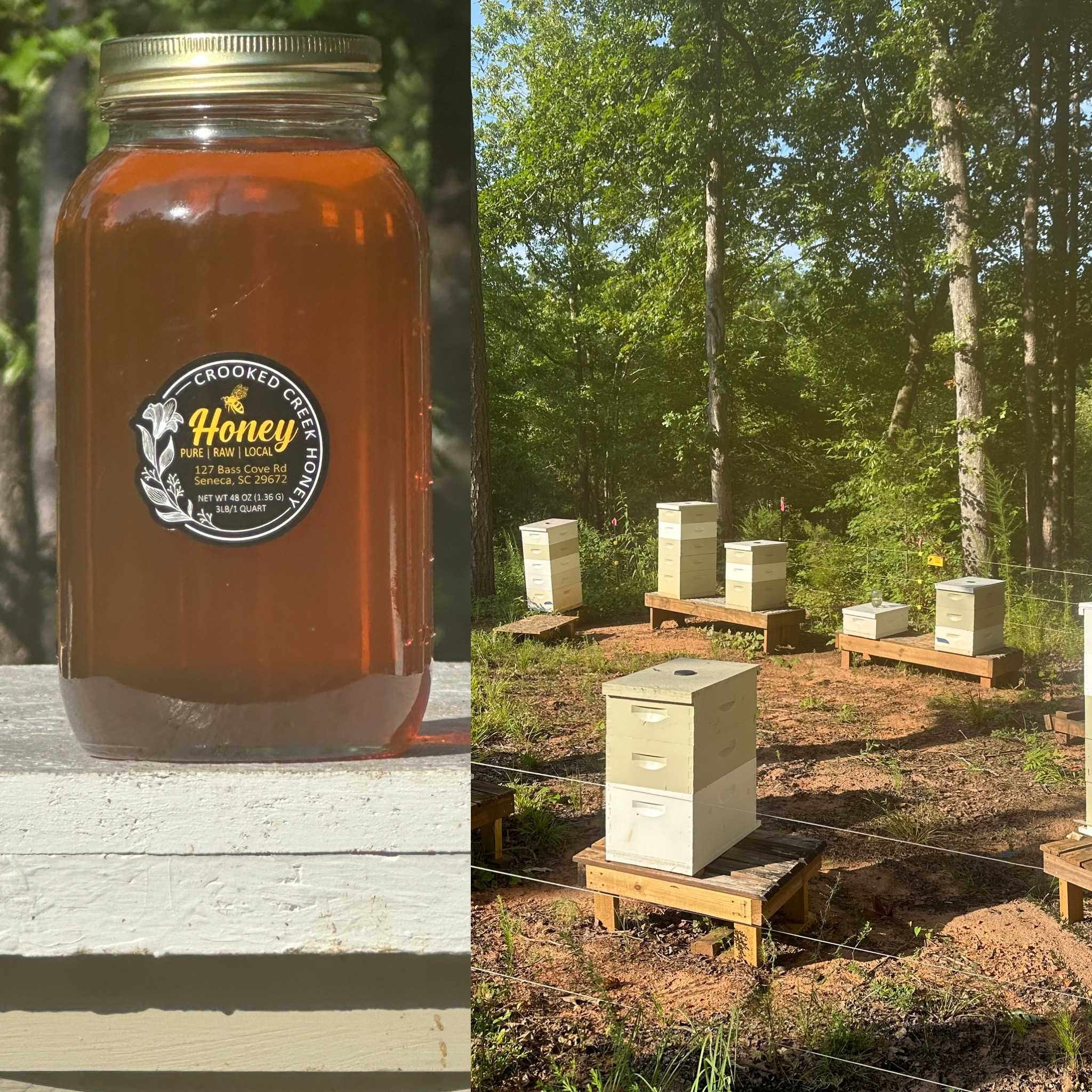 Crooked Creek Honey