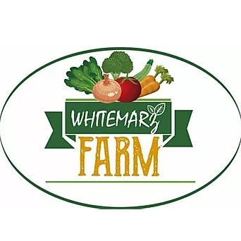 Whitemarz Farm Ma