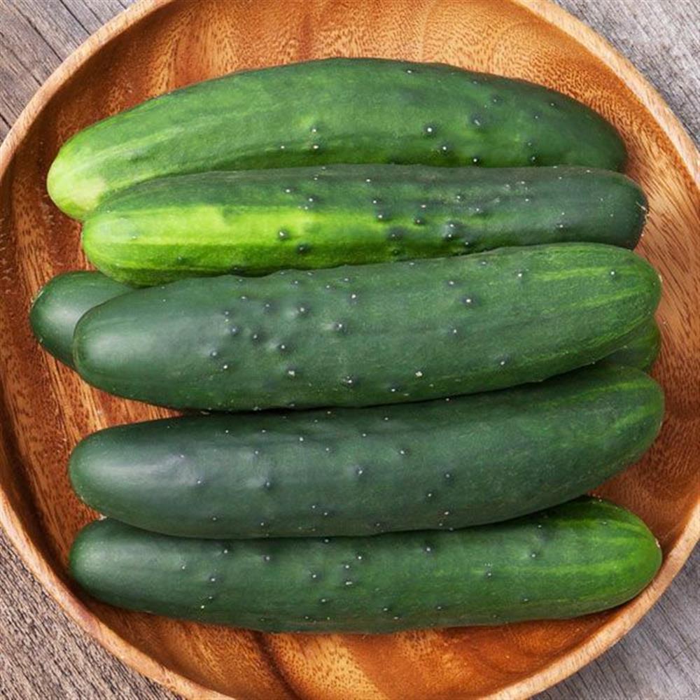 Cucumbers, Slicer 