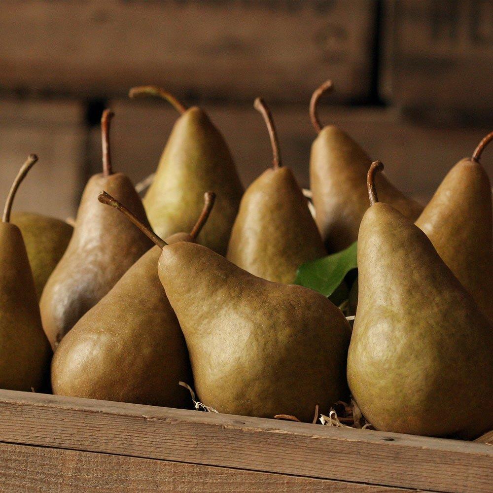 Apples — Three Springs Fruit Farm