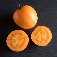 Tomatoes, Valencia