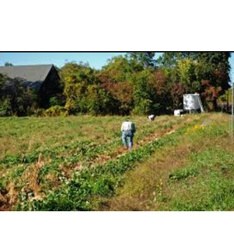 Joe Czajkowski Farm*