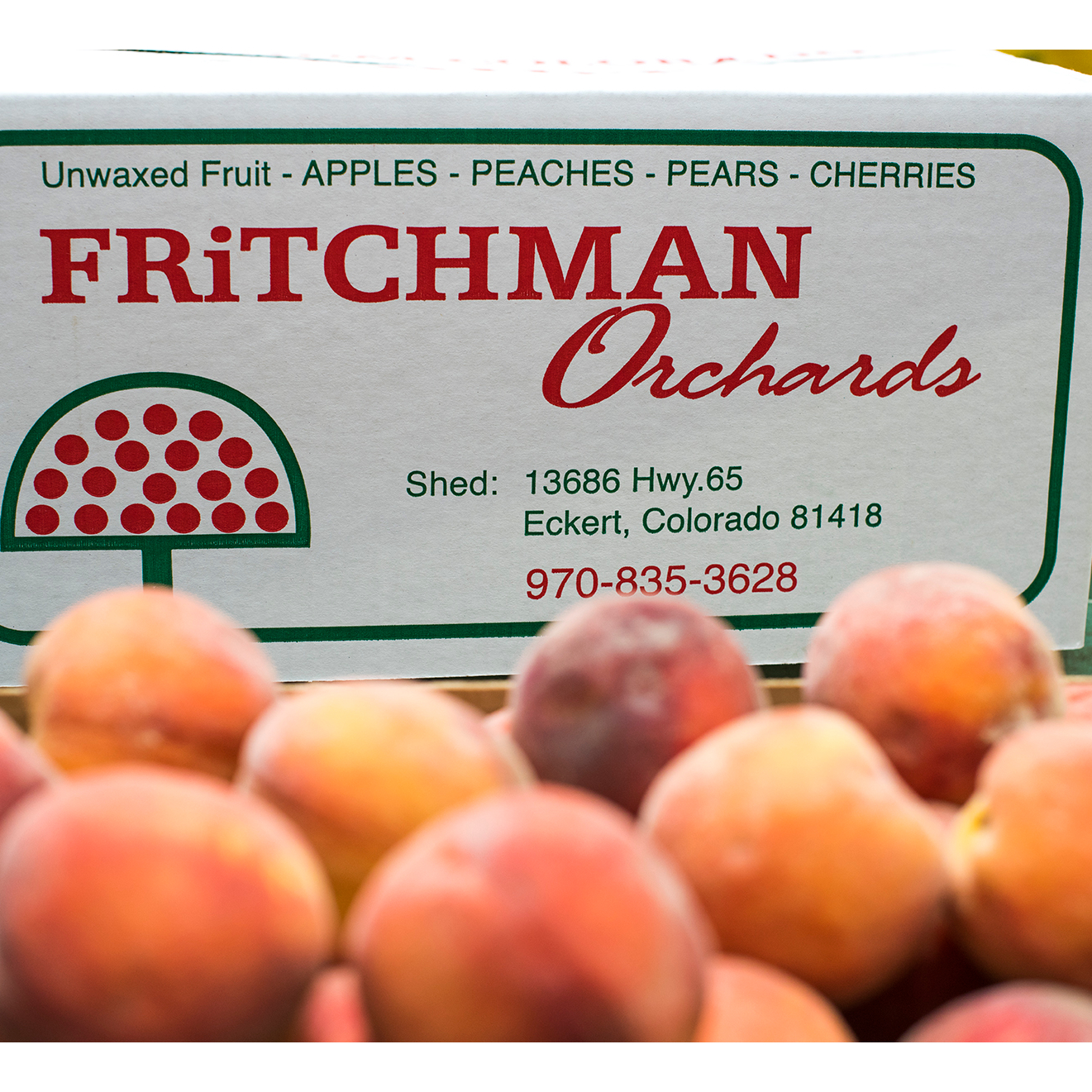 Fritchman Orchards