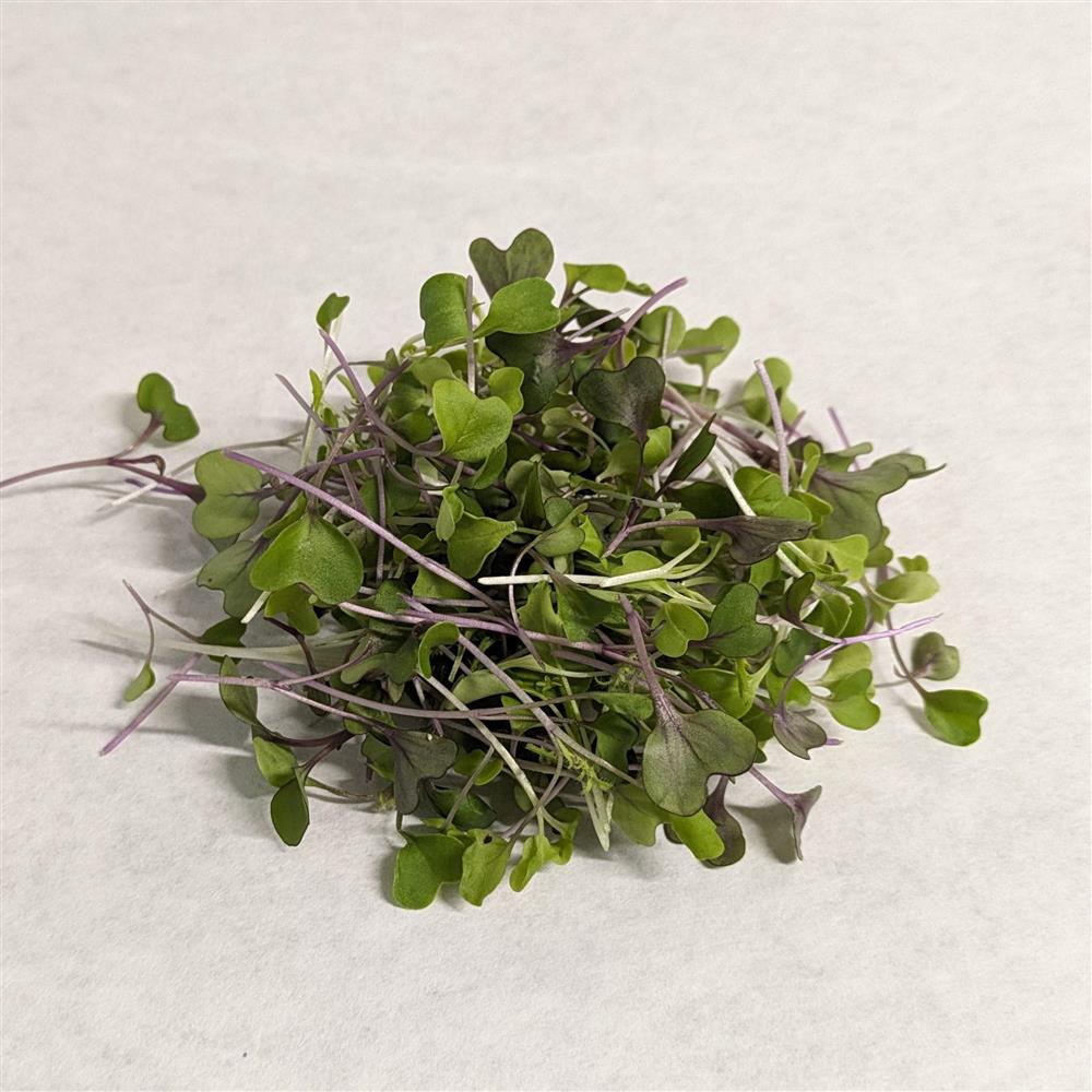 Microgreens, Mild Mix