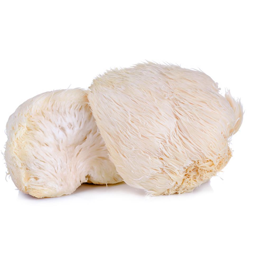 Mushrooms, Lions Mane