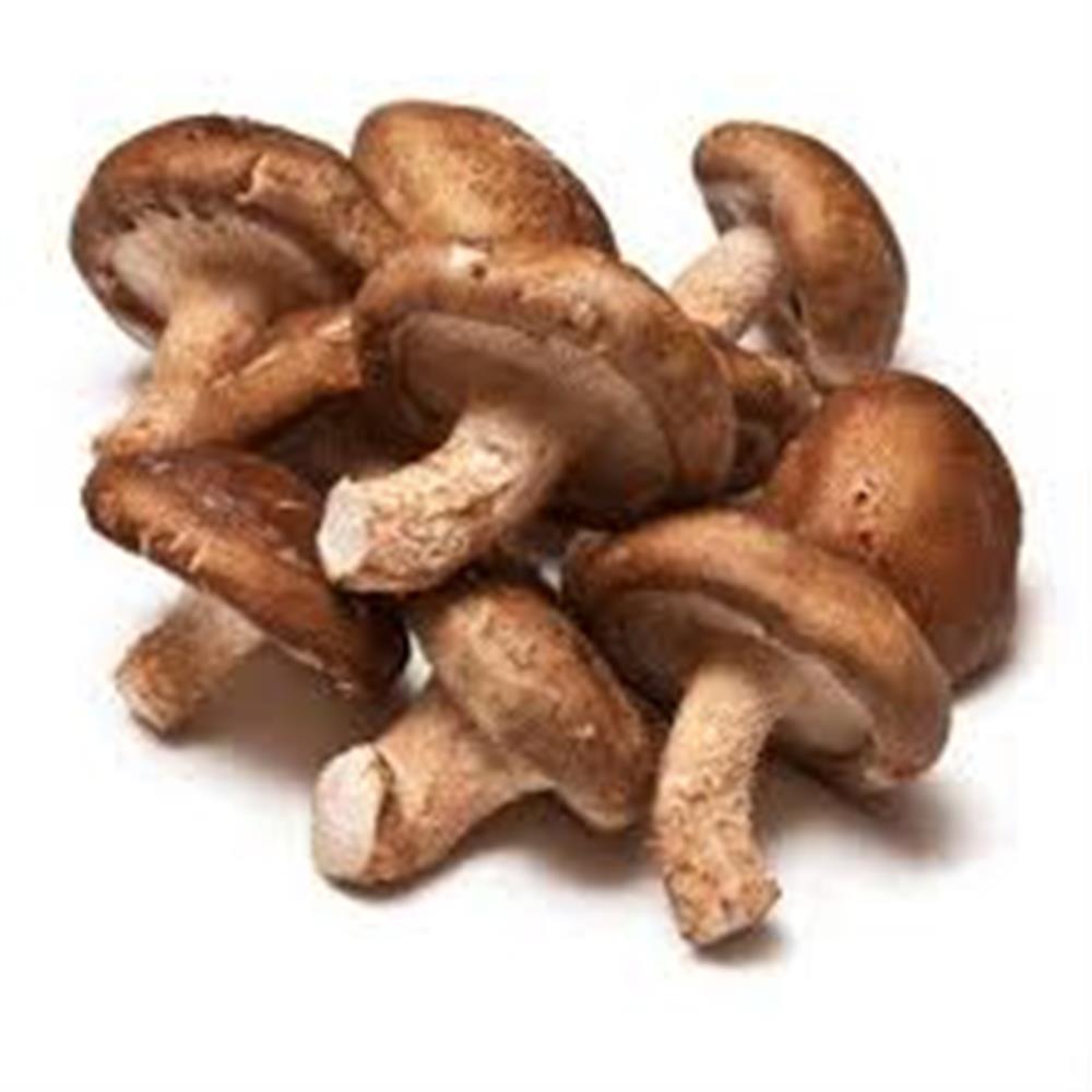 Mushrooms, Shiitake