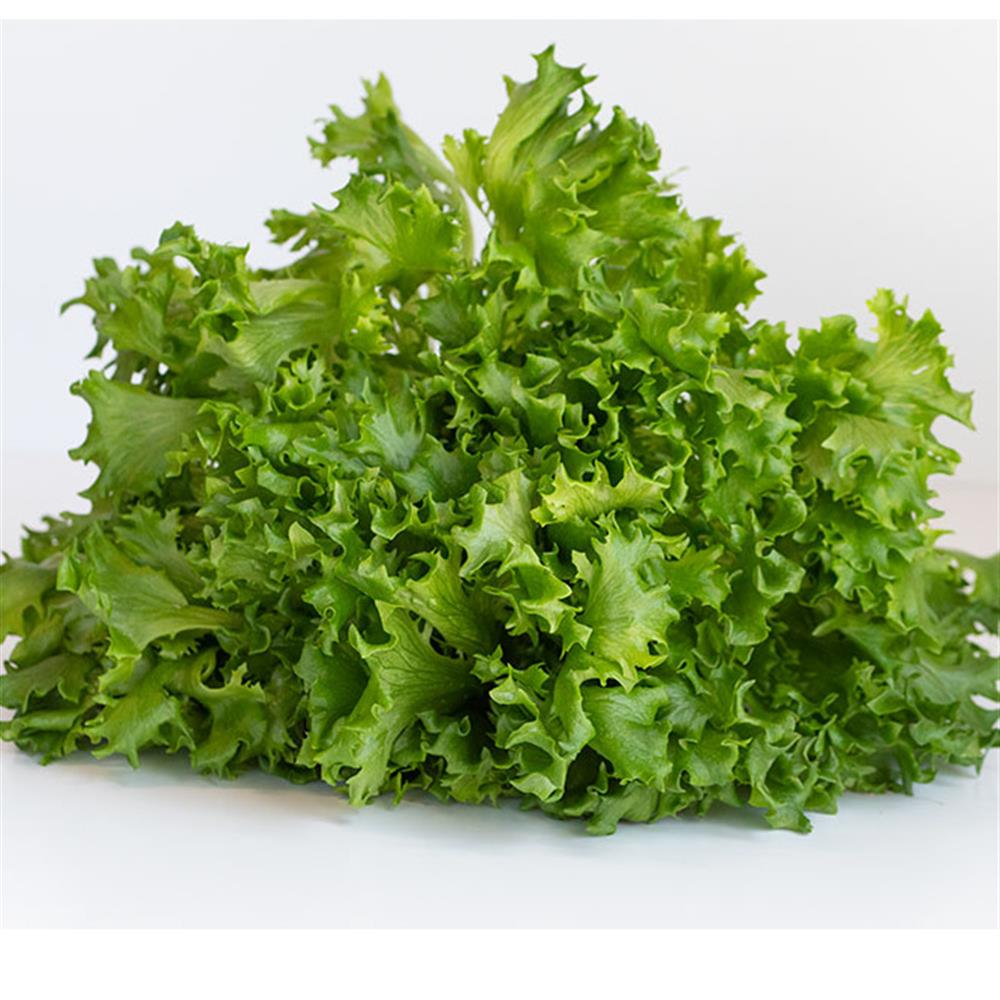 Living Lettuce, Sweet Crisp