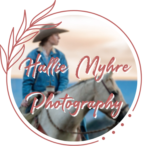 Hallie Myhre Photography
