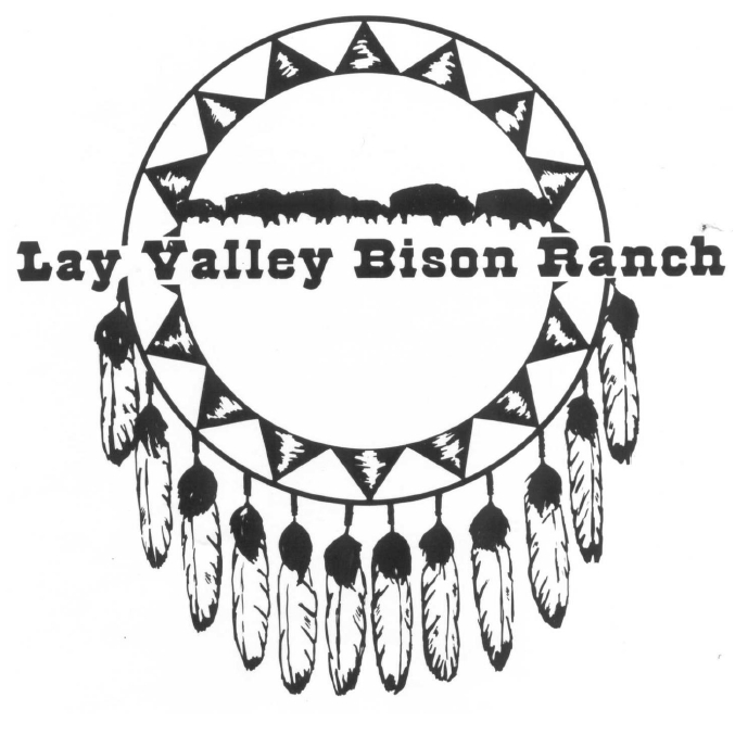 Lay Valley Bison