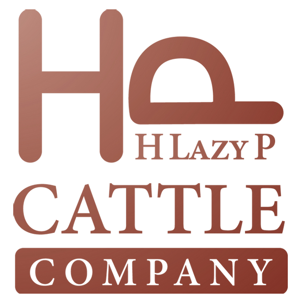 H Lazy P Cattle Co