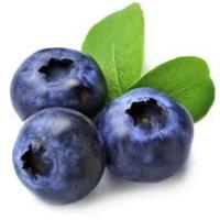 Kobbes Blueberries