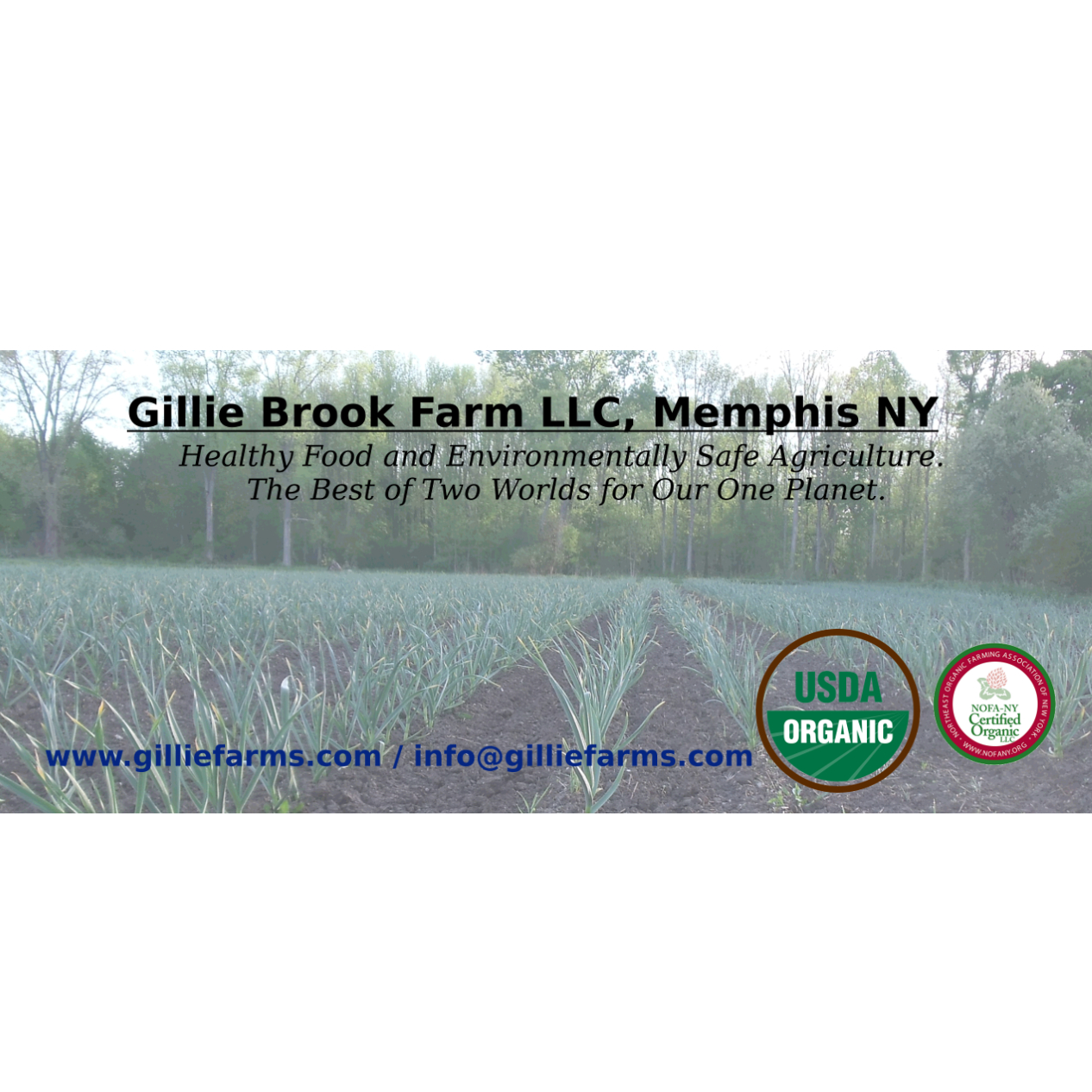 Gillie Brook Farm