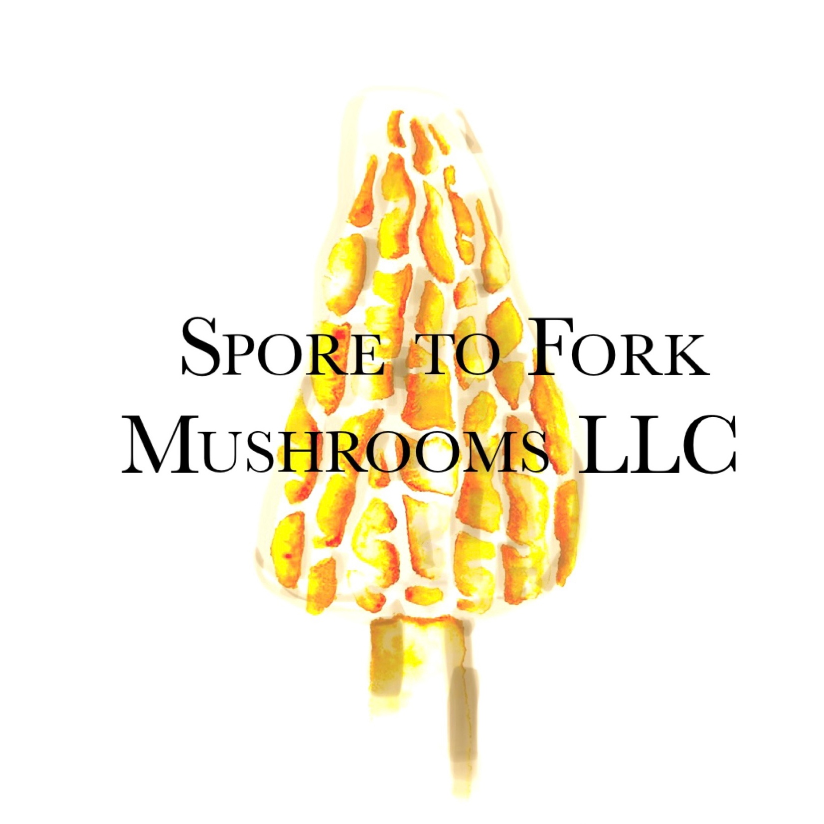 Spore to Fork