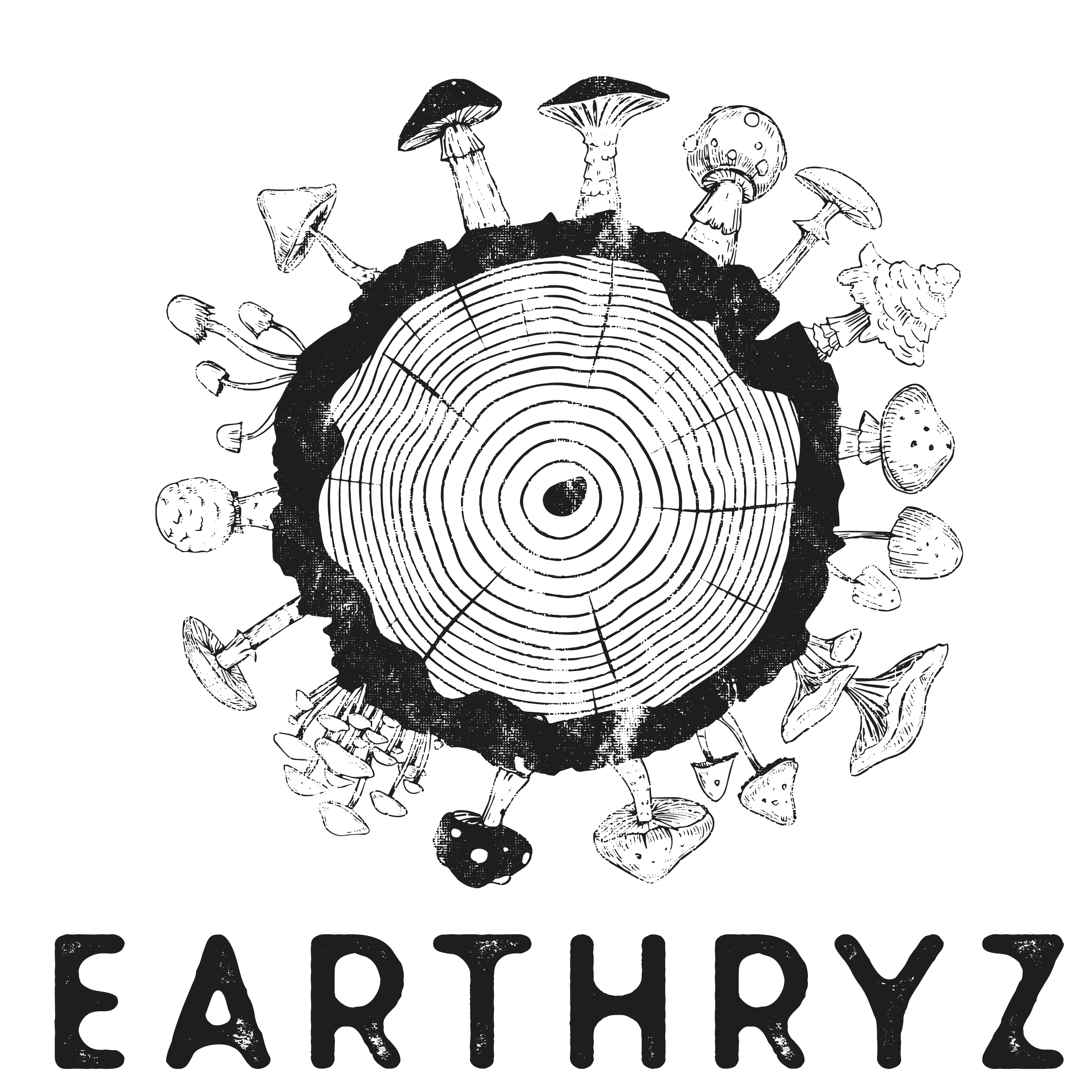 Earthryz LLC