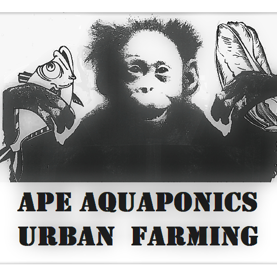 Ape Aquaponics