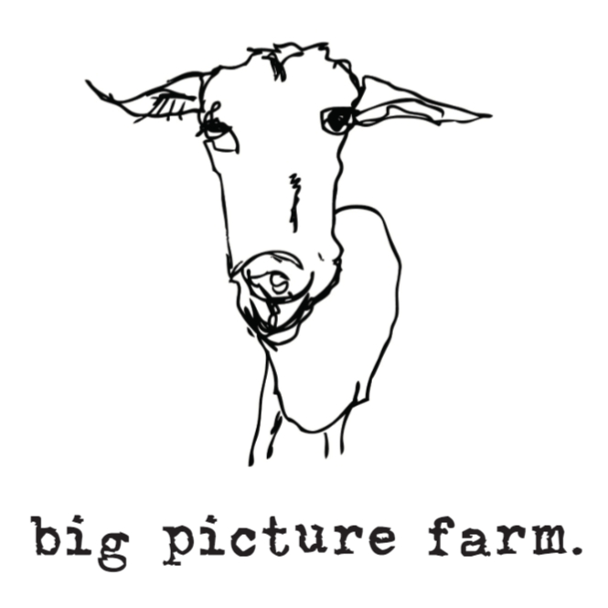 Big Picture Farm