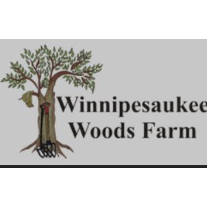 Winnipesaukee Woods