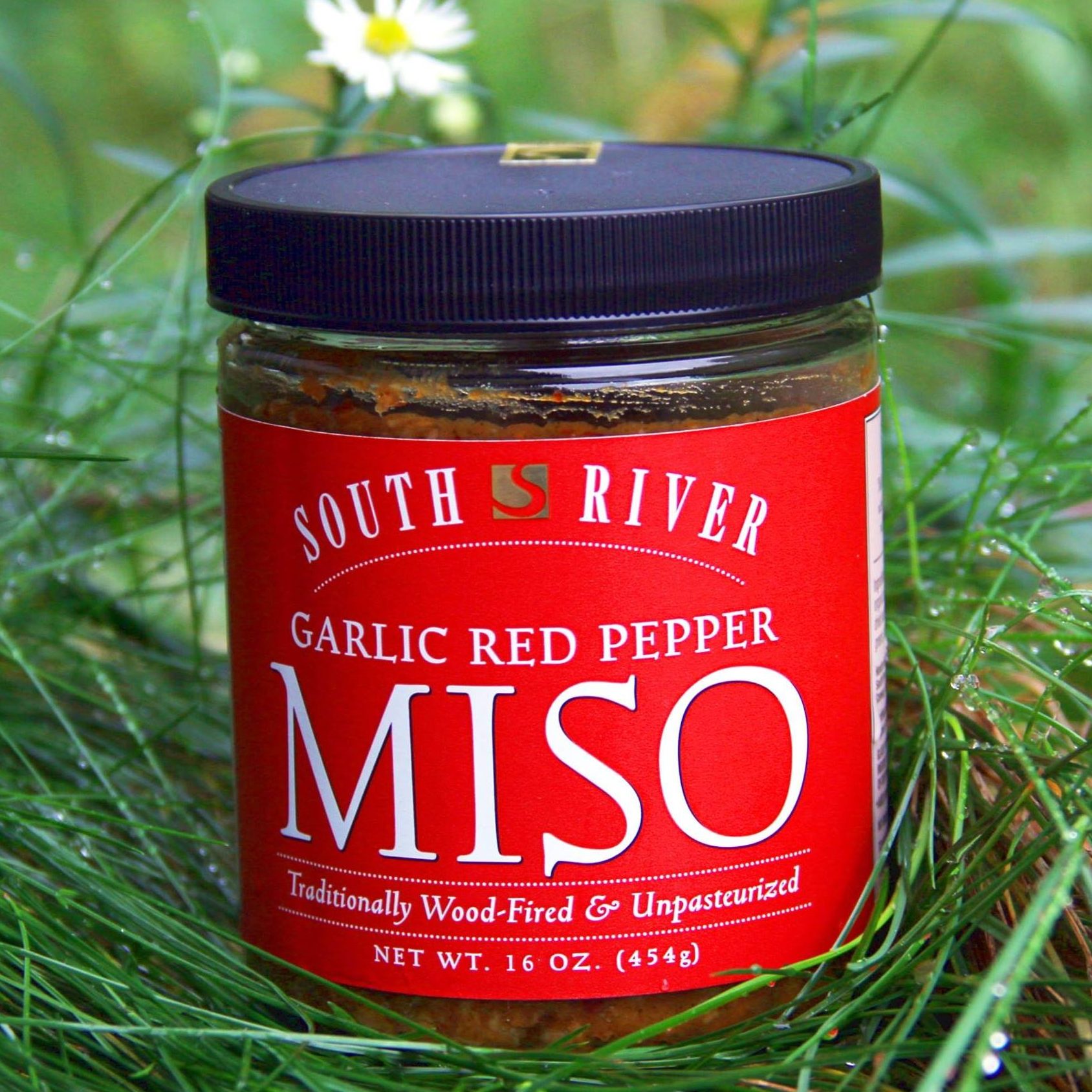 South River Miso