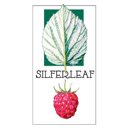 Silferleaf