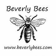 Beverly Bees