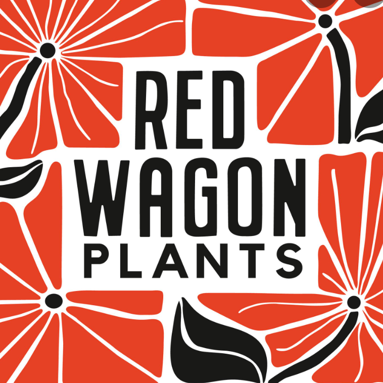 Red Wagon Plants