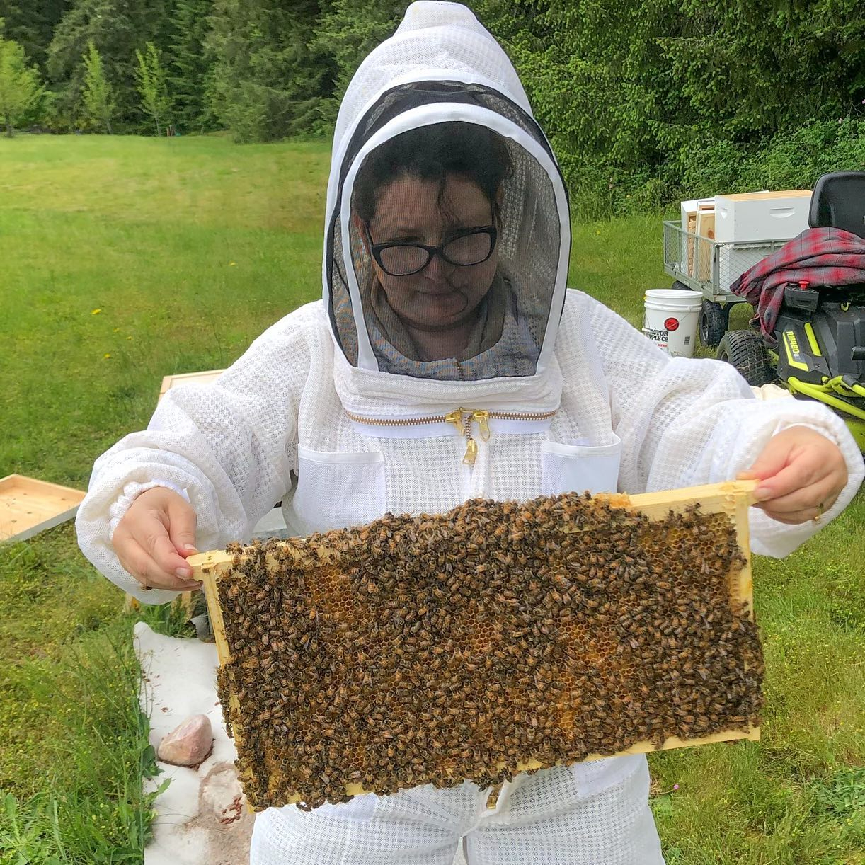 Whidbey Island Honey