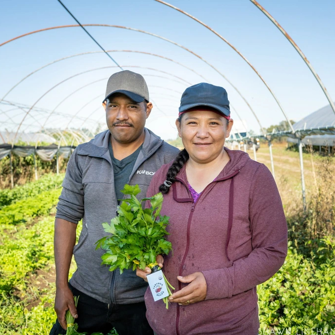 Eloisa Organic Farm (OR)