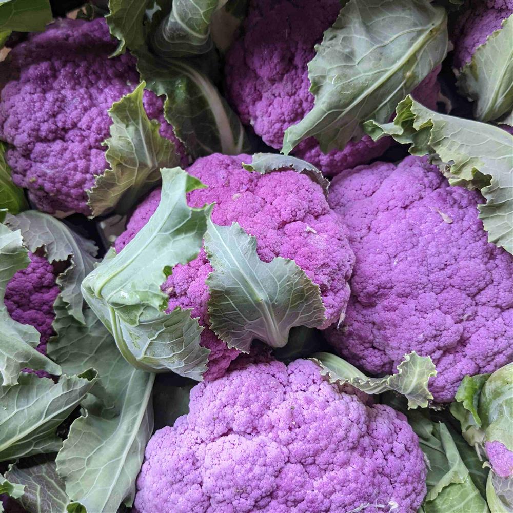 Cauliflower, Purple