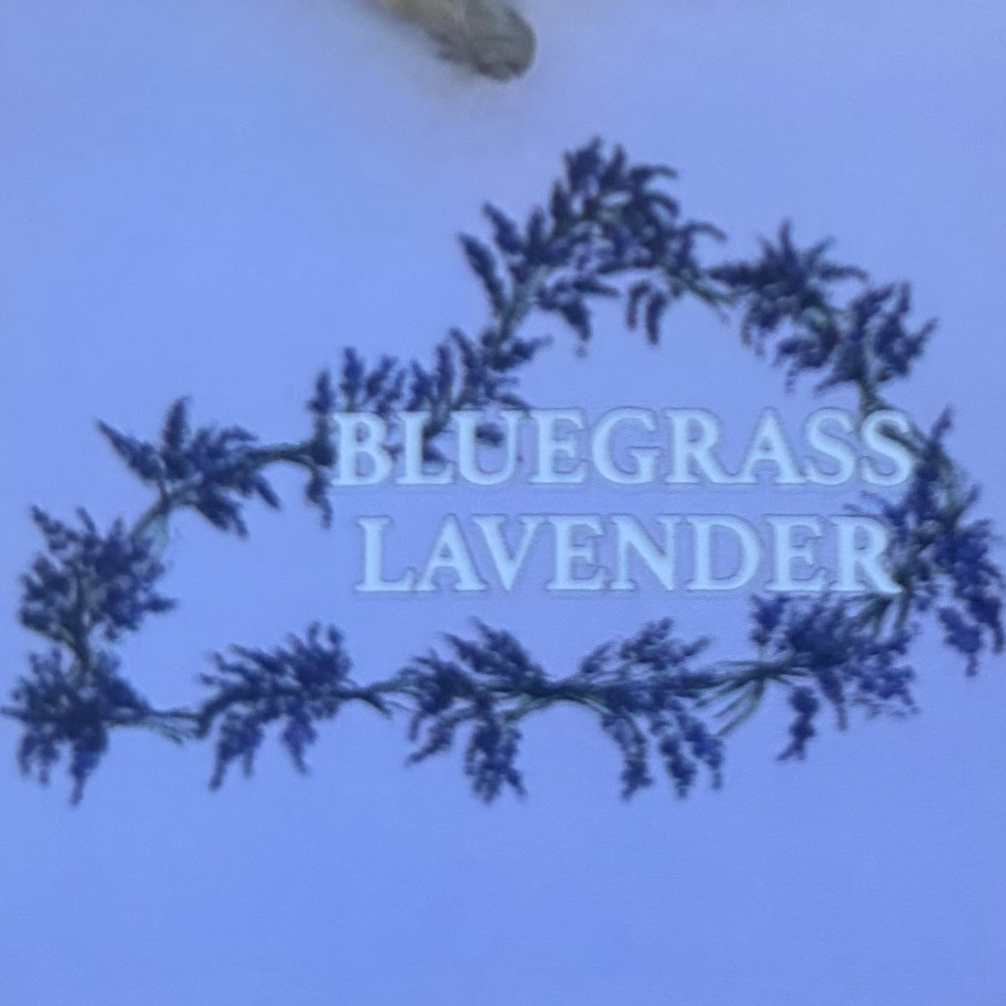 Bluegrass Lavender