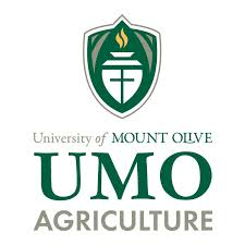 University of Mount Olive 