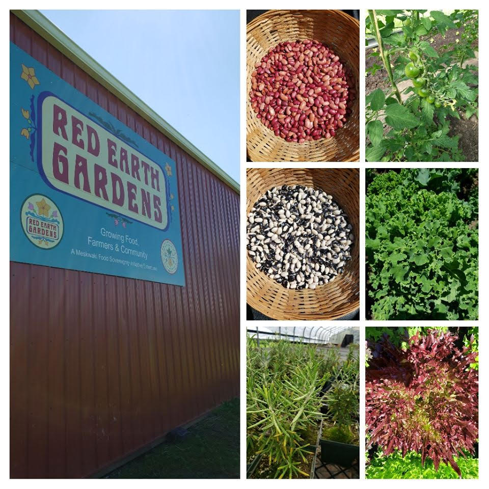 Red Earth Gardens *