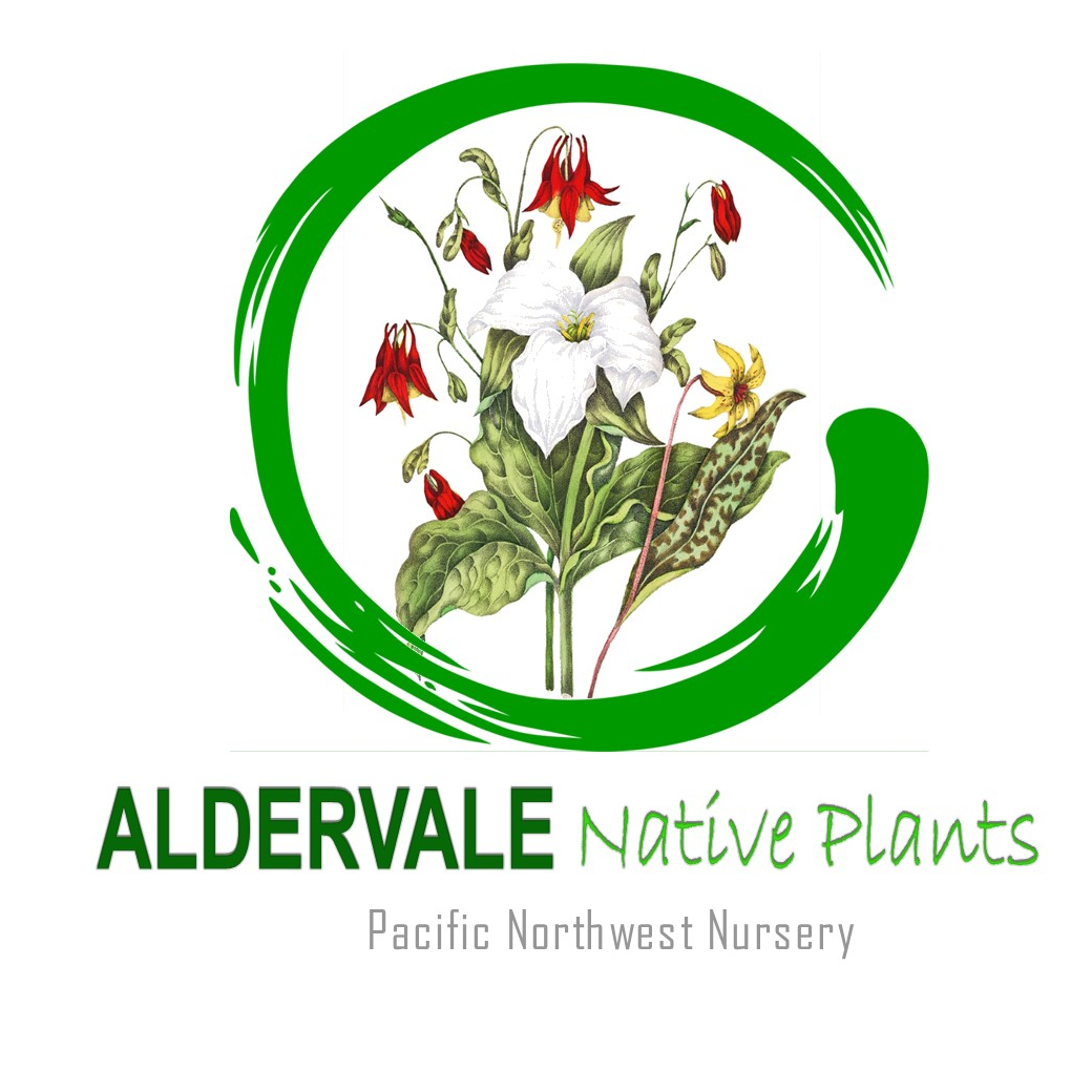 Aldervale Native Plants