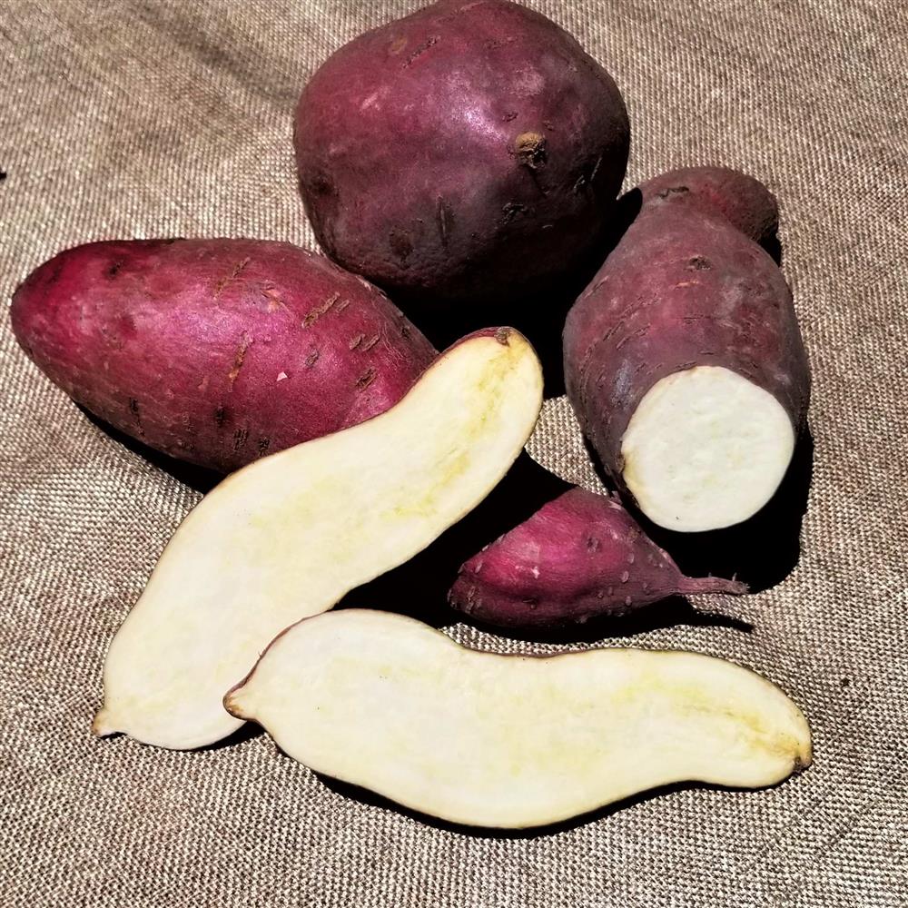 The white sweet potato has a purple inside and the purple sweet potato has  a white inside. : r/mildlyinteresting