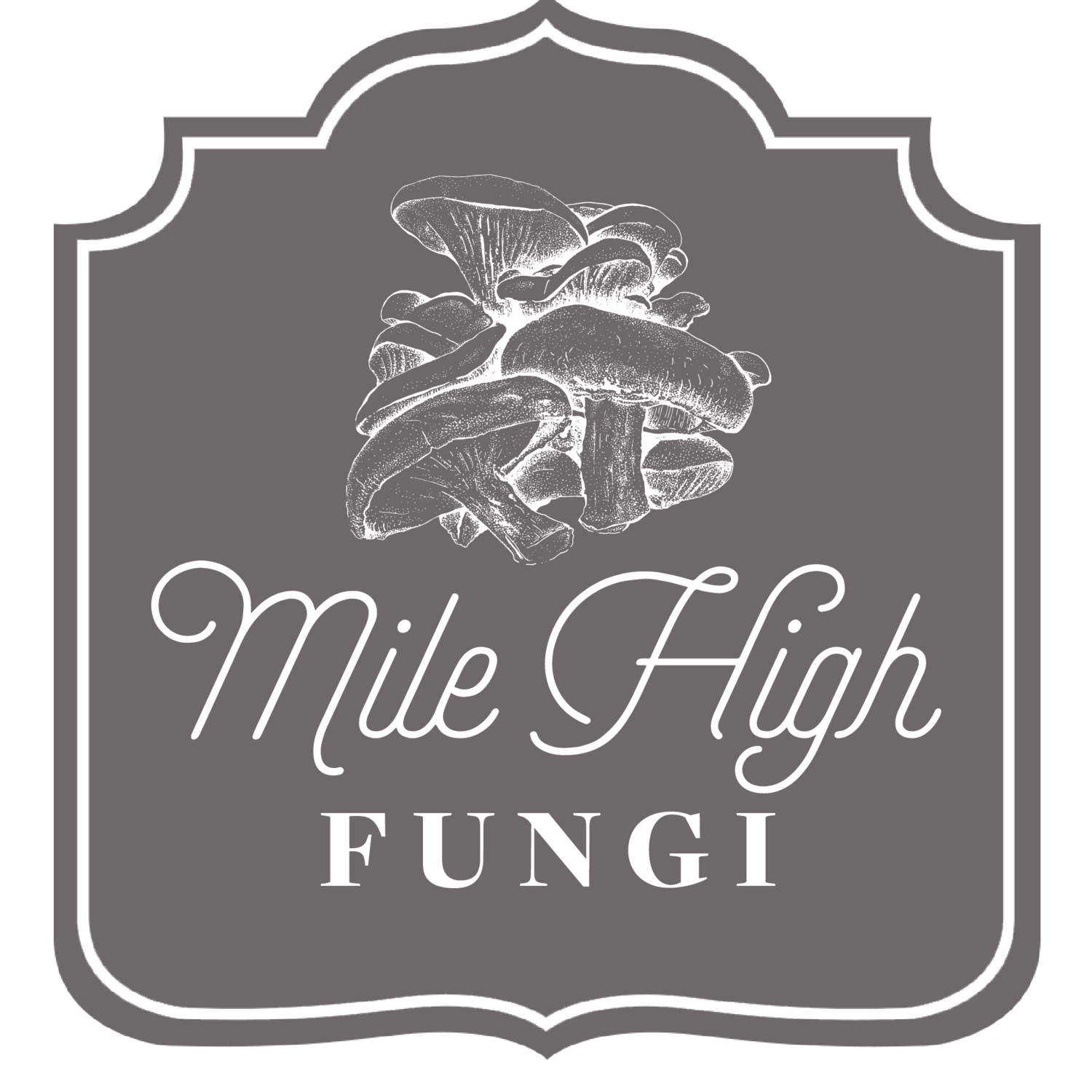 Mile High Fungi