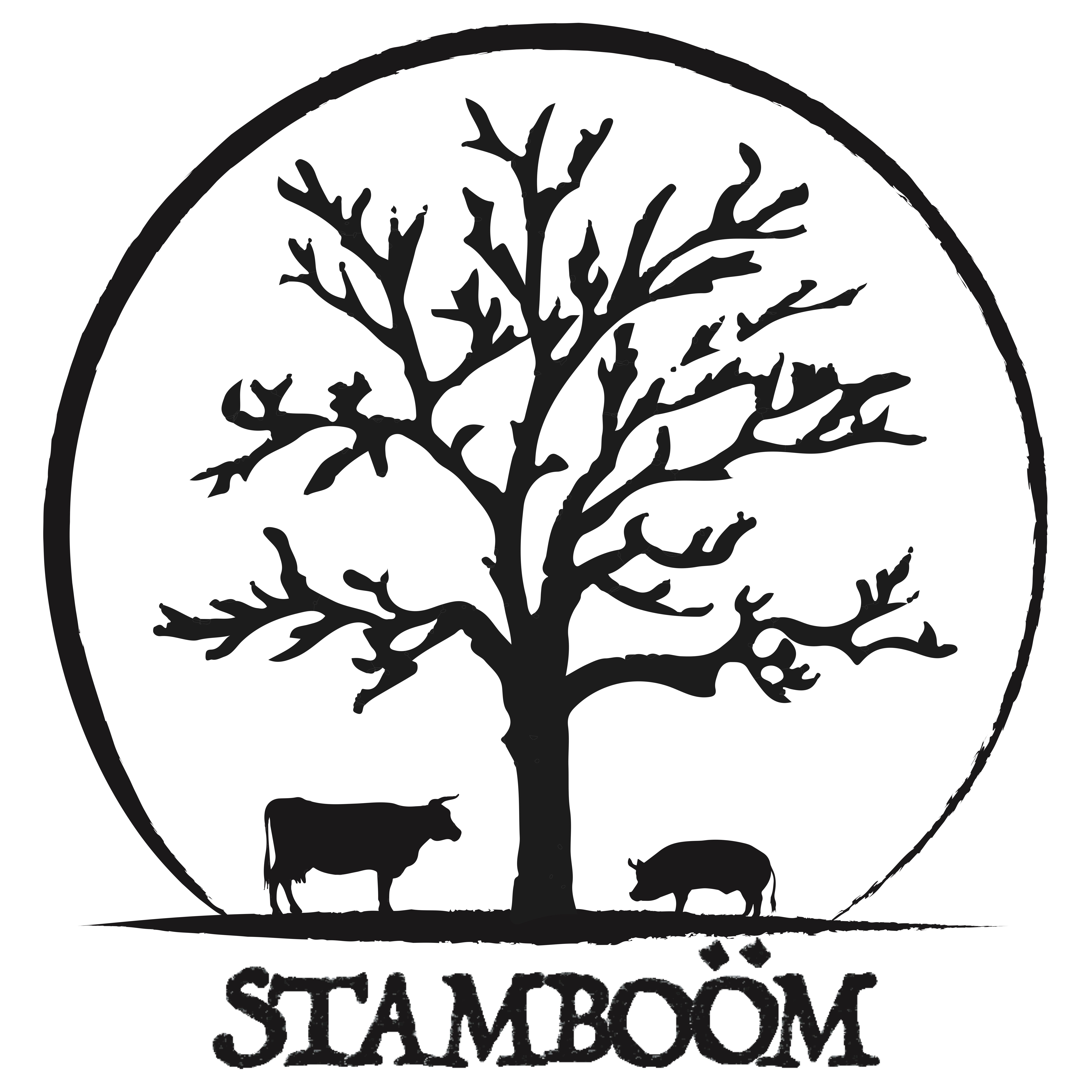 Stamboom 