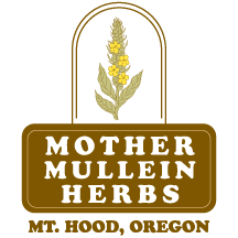 Mother Mullein Herbs