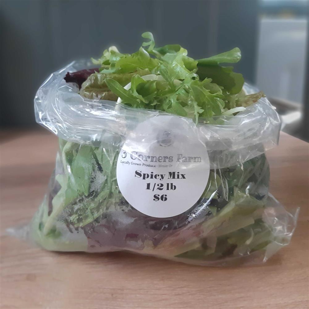 Lettuce, Spicy Salad mix