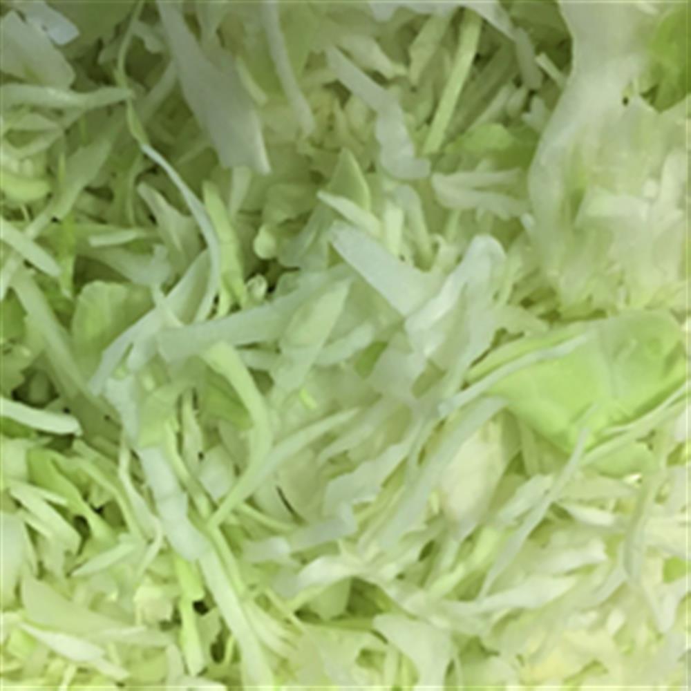 Cabbage, Green, Shredded