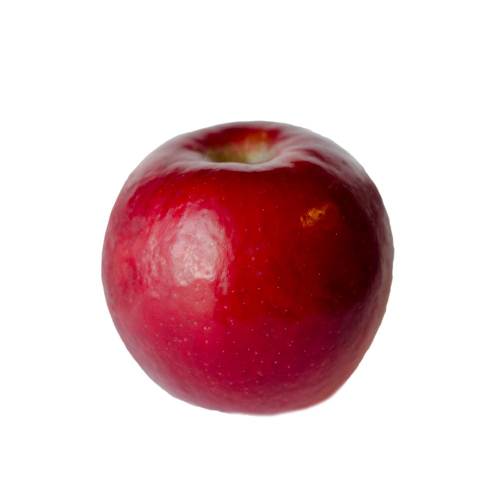 American Red Apple (Single) - FarmLinkr