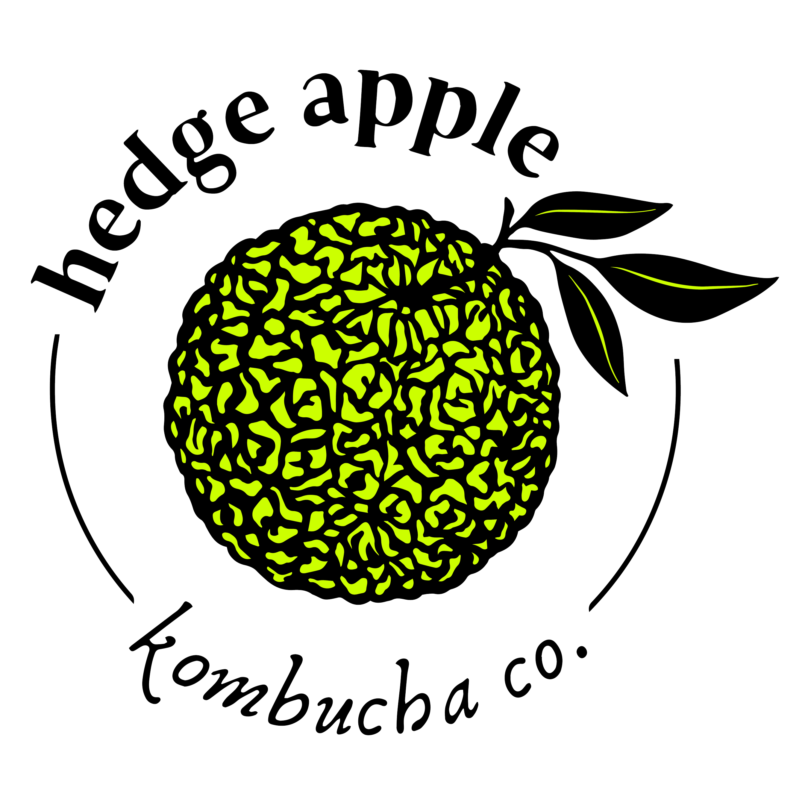 Hedge Apple Kombucha