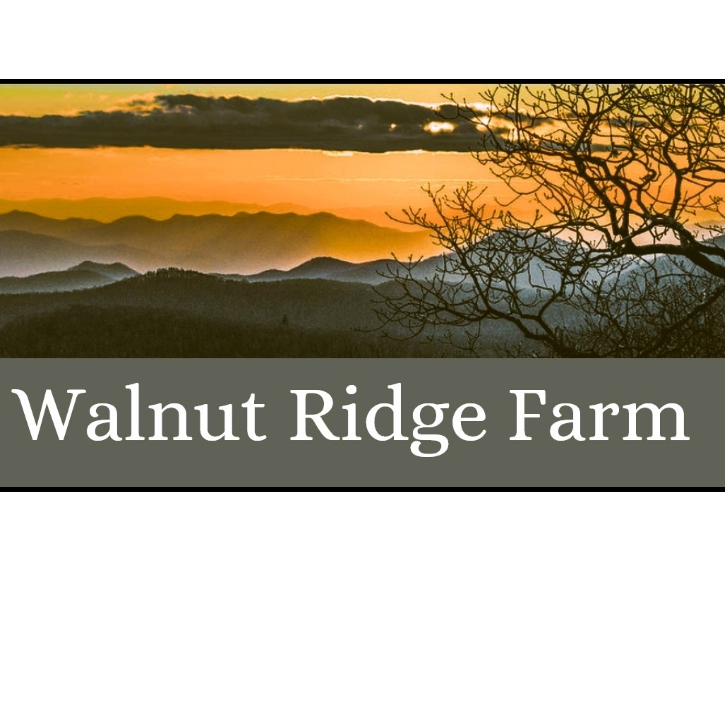 Walnut Ridge Farm