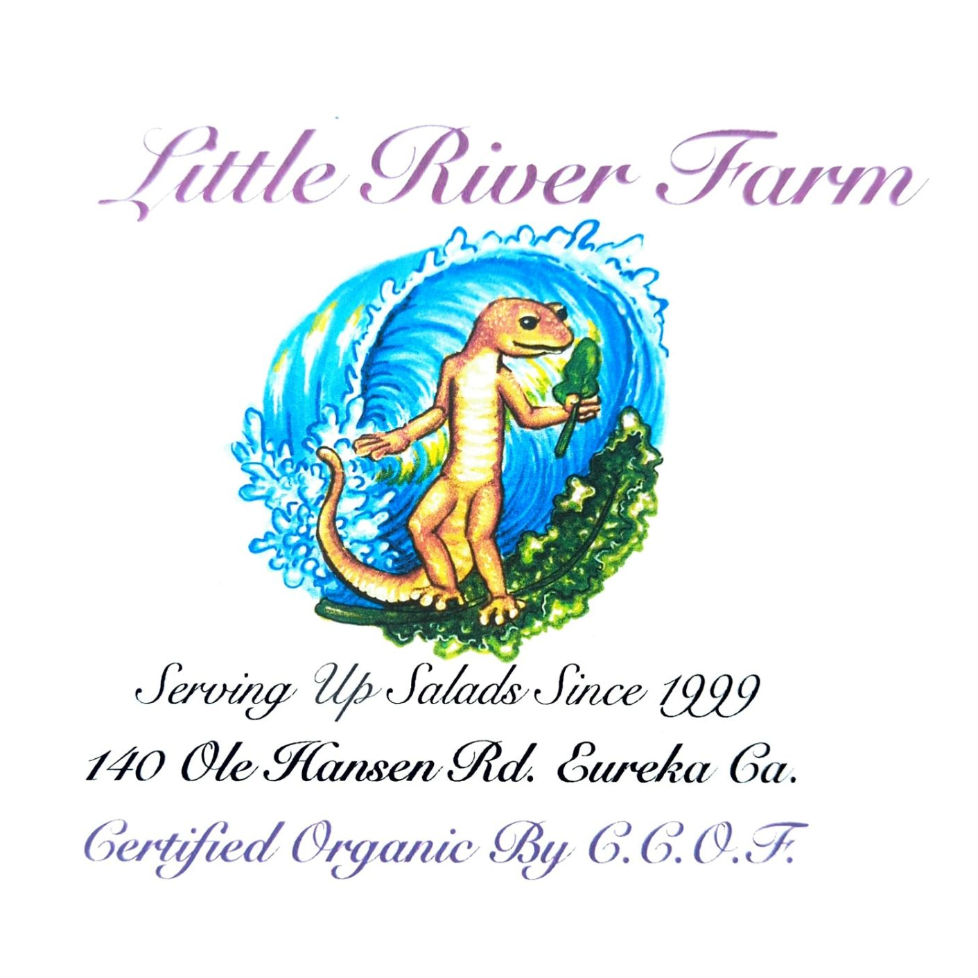 Little River Farm